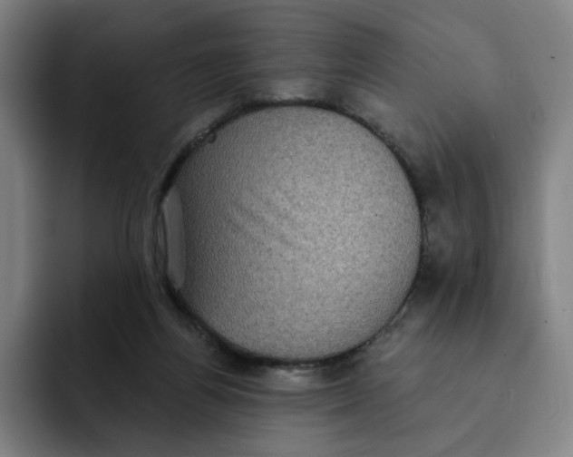 X0000091890164200709261646
