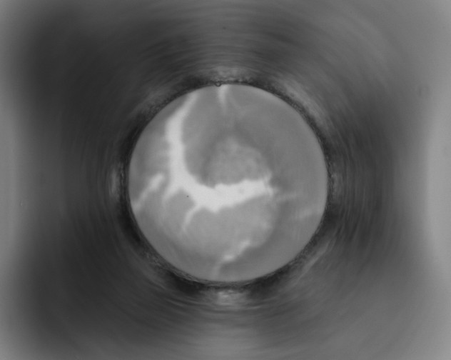 X0000091890165200709261646