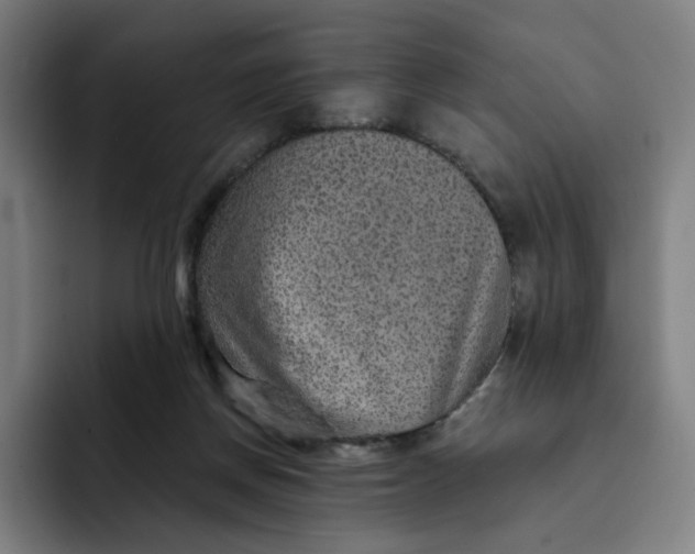 X0000091890166200709261646