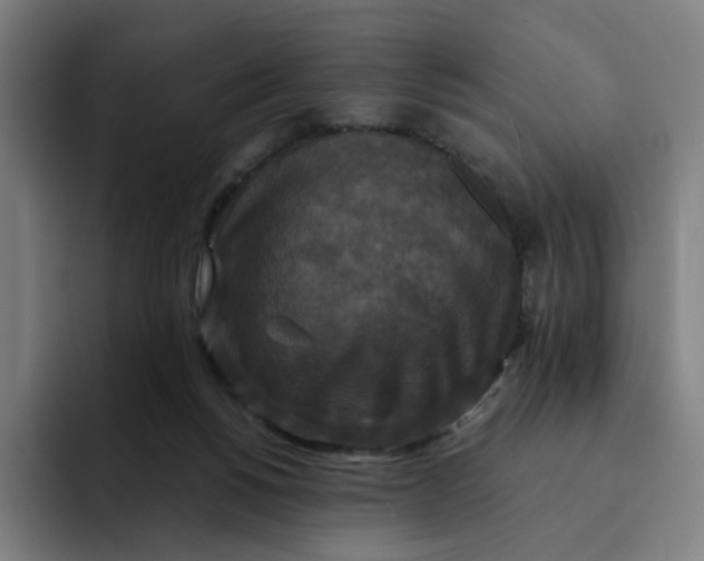 X0000091890168200709261646
