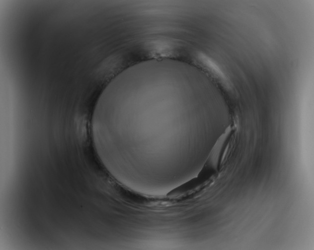 X0000091890169200709261646