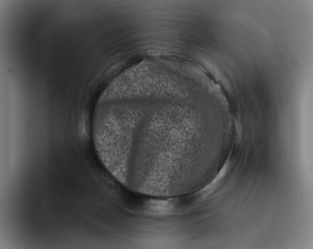 X0000091890170200709261646