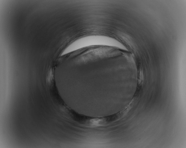 X0000091890172200709261646