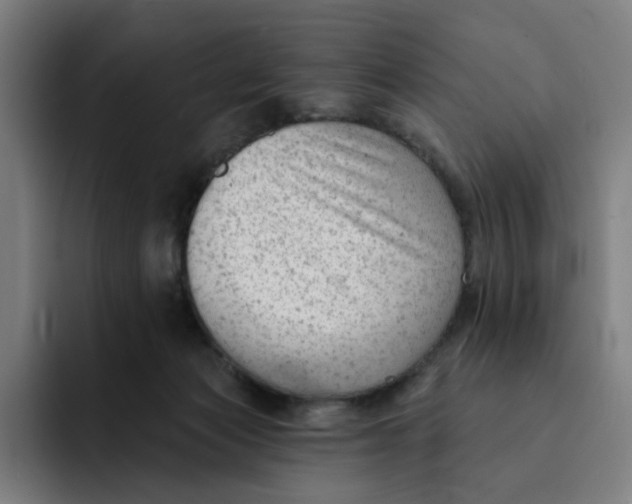 X0000091890173200709261646