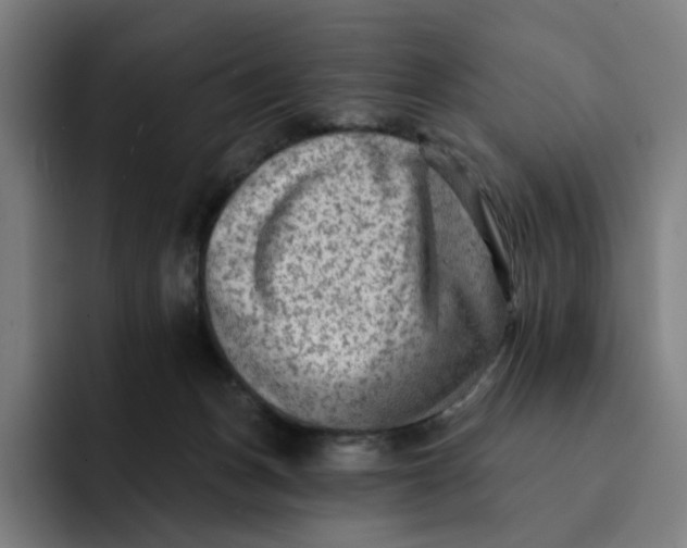 X0000091890175200709261646