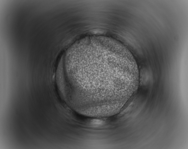 X0000091890176200709261646