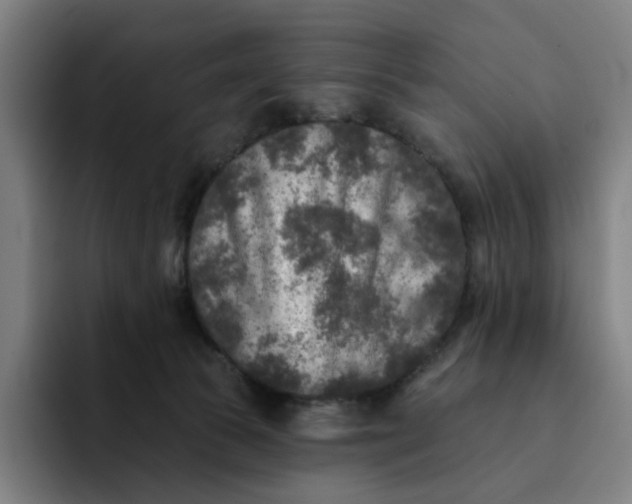 X0000091890177200709261646