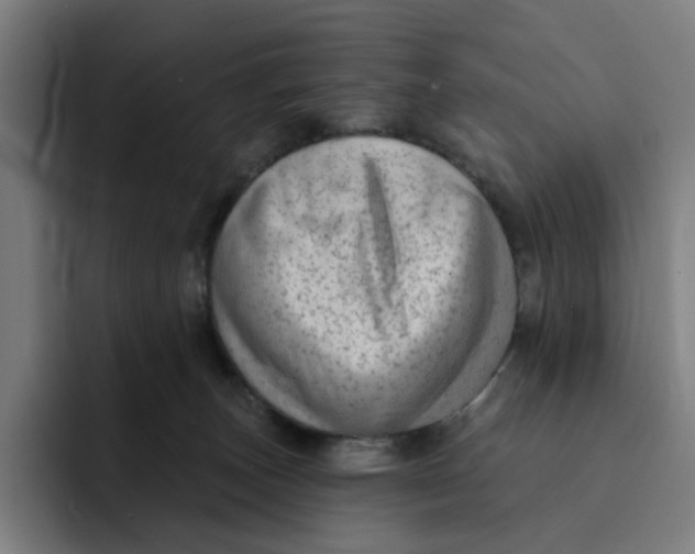 X0000091890179200709261646