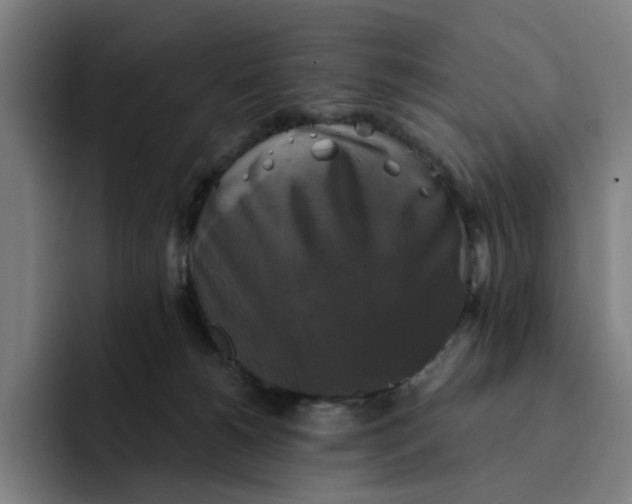 X0000091890180200709261646