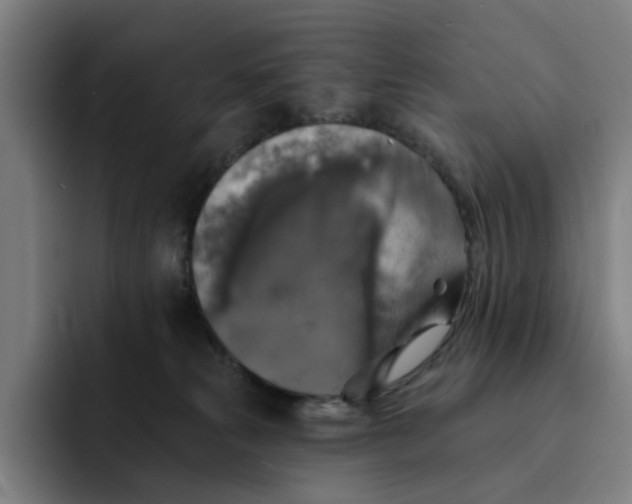 X0000091890181200709261646
