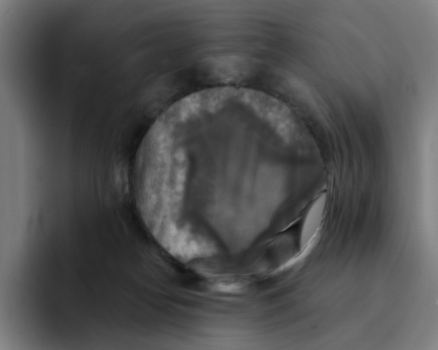 X0000091890182200709261646