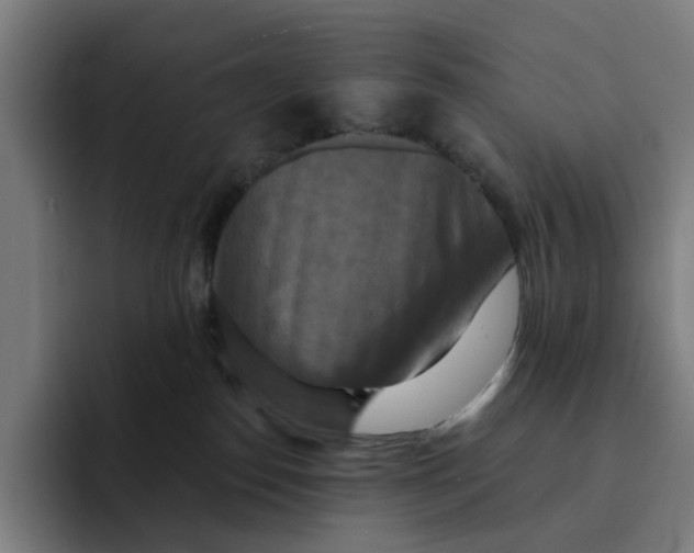 X0000091890186200709261646