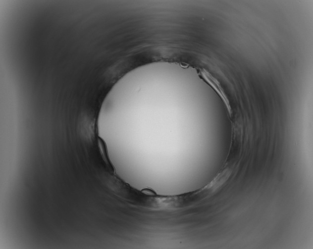 X0000091890188200709261646