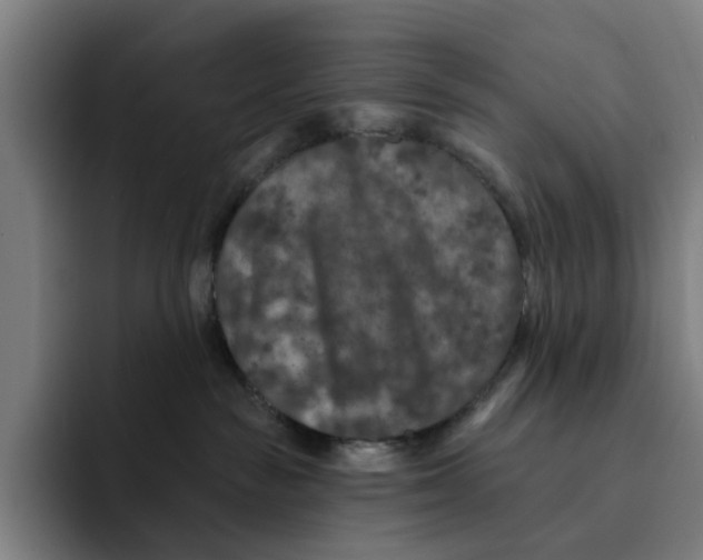 X0000091890189200709261646