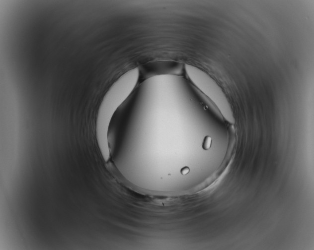 X0000091890190200709261646