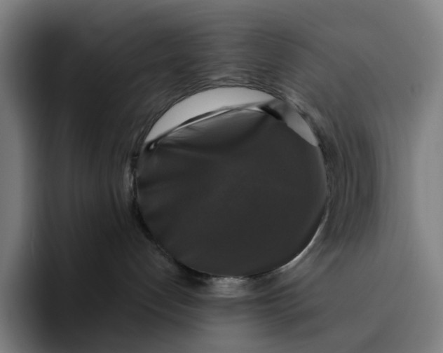 X0000091890192200709261646