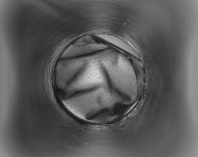 X0000091890193200709261646