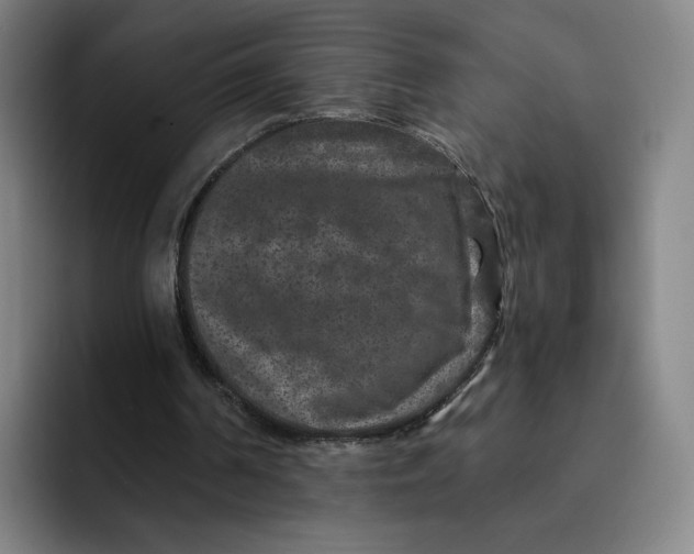 X0000091890194200709261646