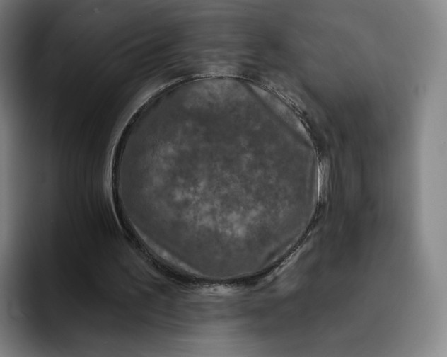 X0000091890195200709261646