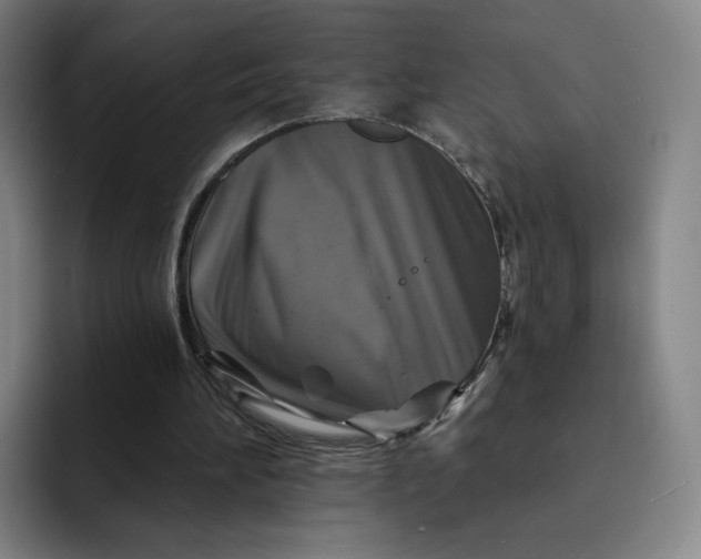 X0000091890196200709261646