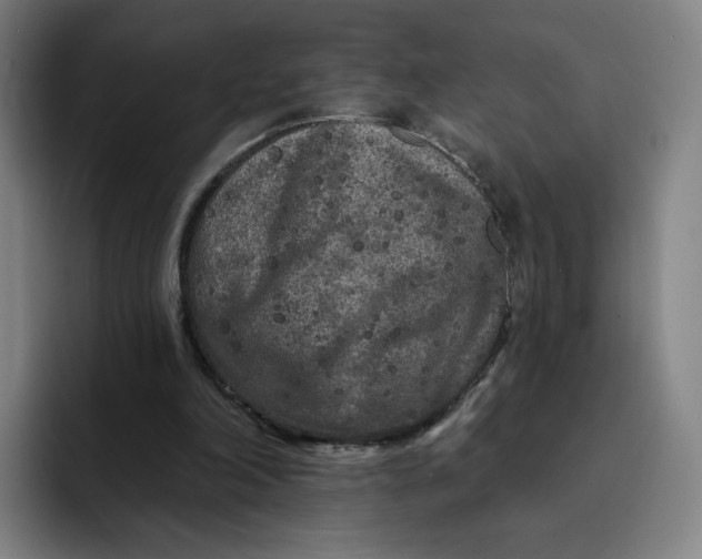 X0000091890198200709261646