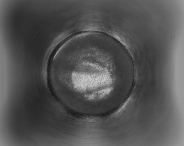 X0000091890199200709261646