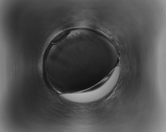 X0000091890200200709261646