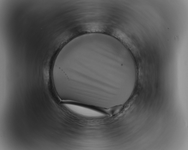 X0000091890202200709261646