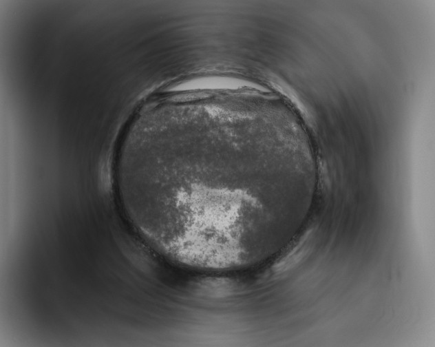 X0000091890203200709261646