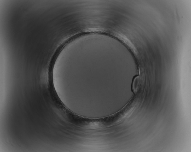 X0000091890204200709261646
