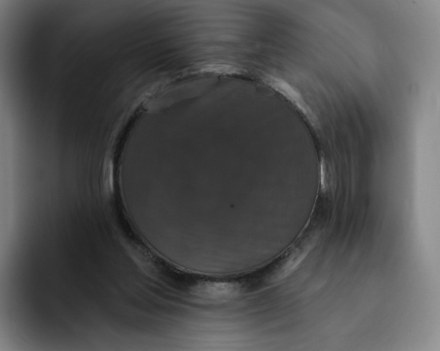 X0000091890205200709261646