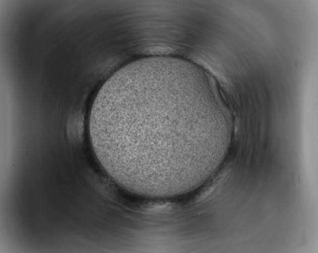 X0000091890206200709261646