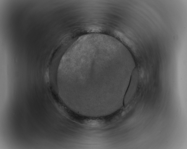 X0000091890209200709261645