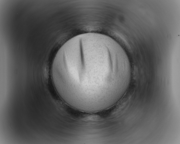 X0000091890210200709261645