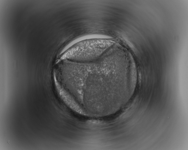 X0000091890211200709261645