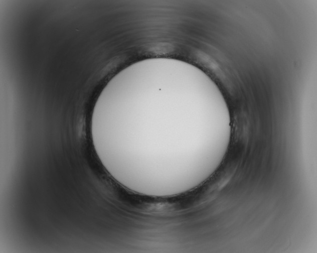 X0000091890212200709261645