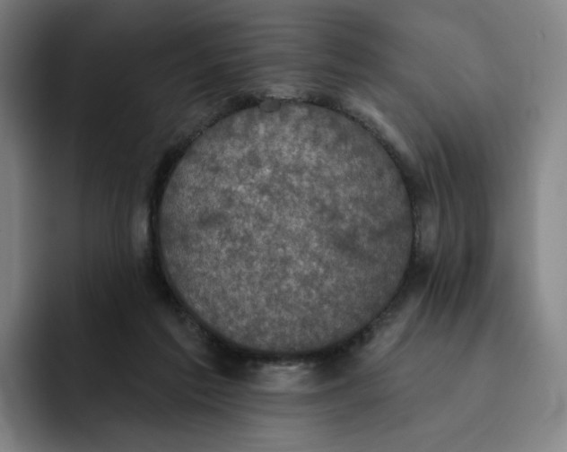 X0000091890213200709261645