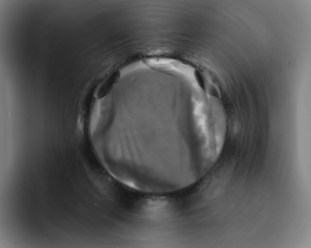 X0000091890214200709261645