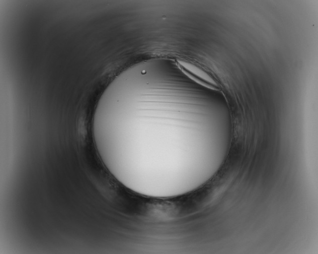 X0000091890215200709261645