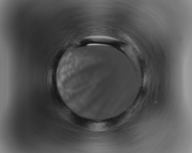 X0000091890217200709261645
