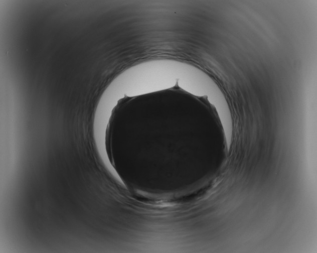 X0000091890219200709261645