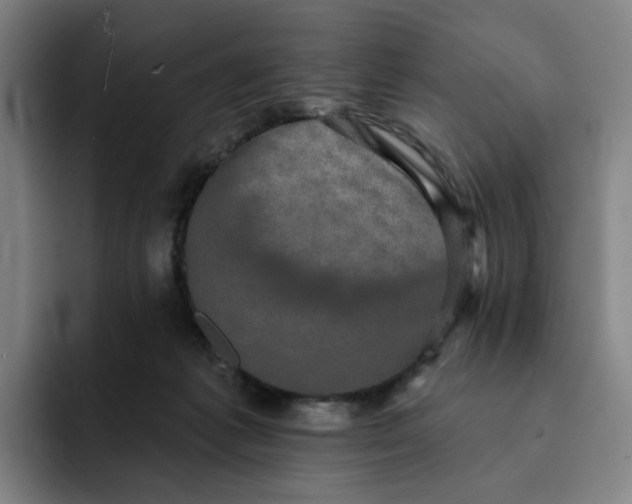 X0000091890221200709261645