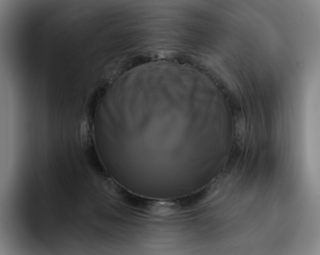 X0000091890222200709261645