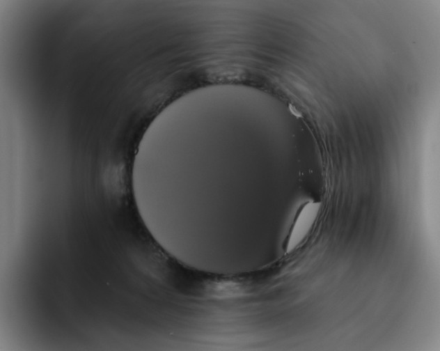X0000091890224200709261645
