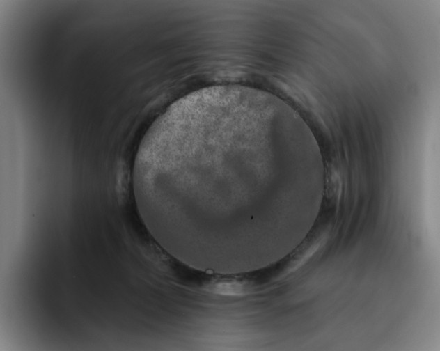 X0000091890228200709261645