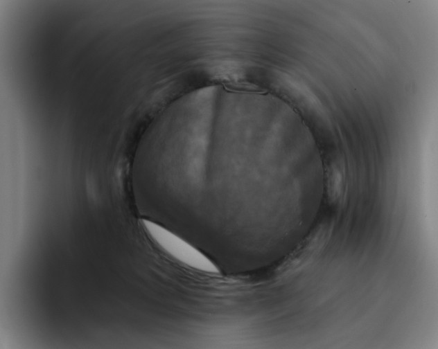 X0000091890229200709261645