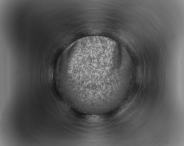 X0000091890230200709261645