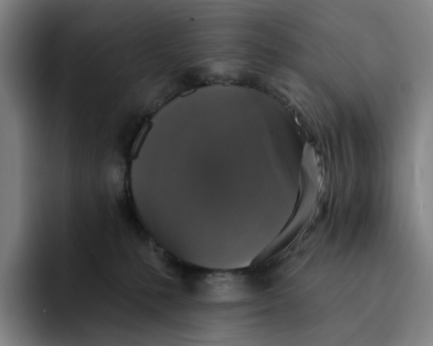 X0000091890231200709261645