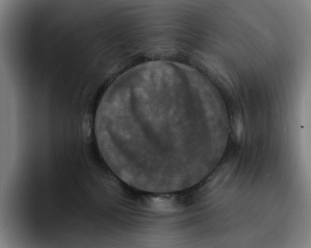 X0000091890232200709261645