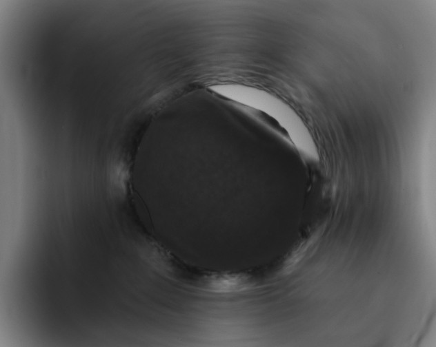 X0000091890235200709261645